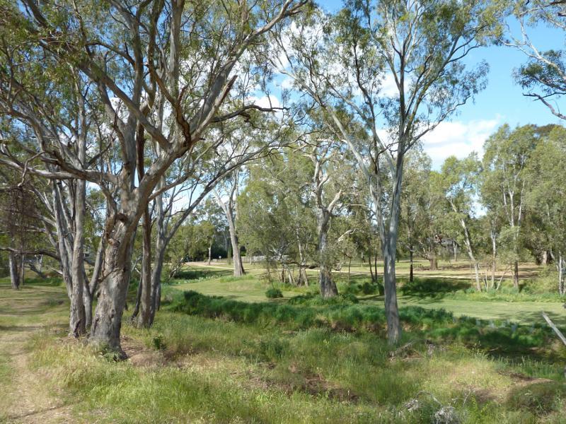Avoca - Avoca River and surrounding parkland between Pyrenees Highway and Duke St: View north along river and parkland, Faraday St north of Pyrenees Hwy
