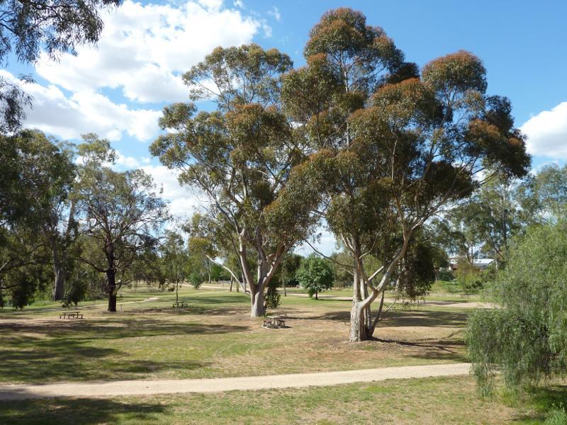 Avoca - Avoca River and surrounding parkland between Pyrenees Highway and Duke St: View north through parkland between Avoca River and Dundas St