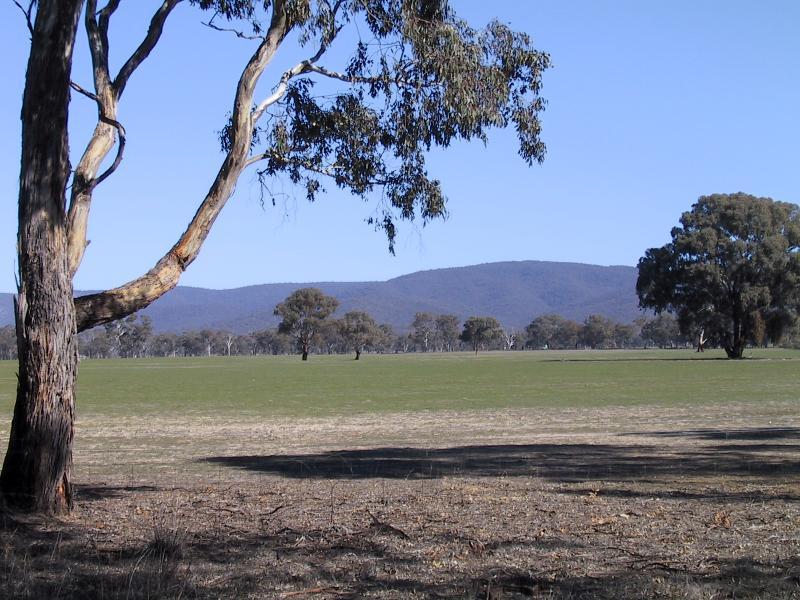 Avoca - Sunraysia Highway: View south-west towards Pyrenees Ranges, Sunraysia Highway 8 km north of Avoca