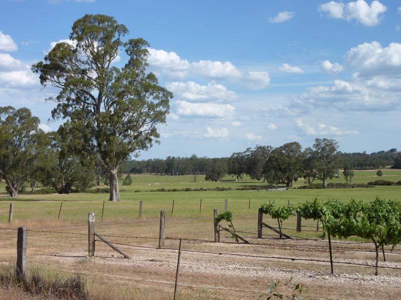 Avoca - Vineyards and scenery along Vinoca Road: South-easterly view, Vinoca Rd 1 km west of Old Coach Rd