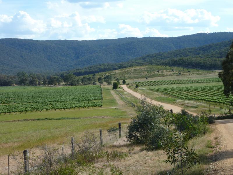 Avoca - Vineyards and scenery along Vinoca Road: View south-west along Vinoca Rd at No.2 Creek Track