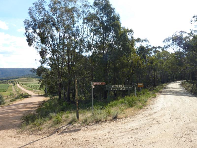Avoca - No.2 Creek Track, Pyrenees State Forest - View west along No.2 Creek Track at Vinoca Rd
