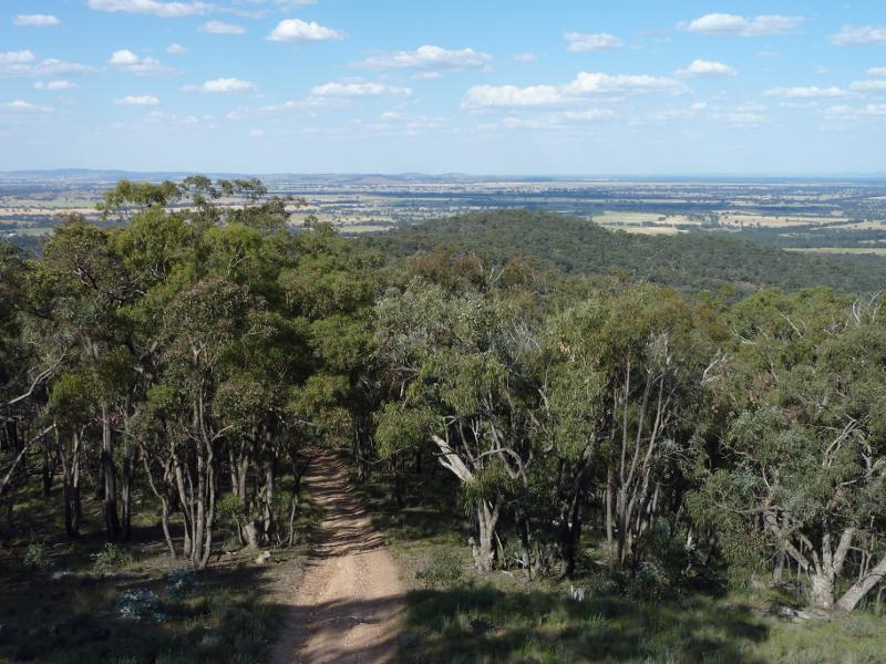 Avoca - Governor Rock Lookout, No.2 Creek Track, Pyrenees State Forest: Easterly view from lookout tower