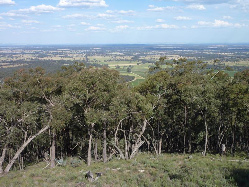 Avoca - Governor Rock Lookout, No.2 Creek Track, Pyrenees State Forest: South-easterly view from lookout tower