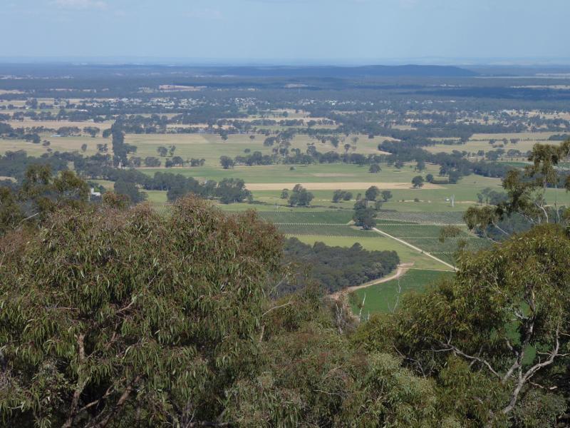 Avoca - Governor Rock Lookout, No.2 Creek Track, Pyrenees State Forest: South-easterly view from lookout tower
