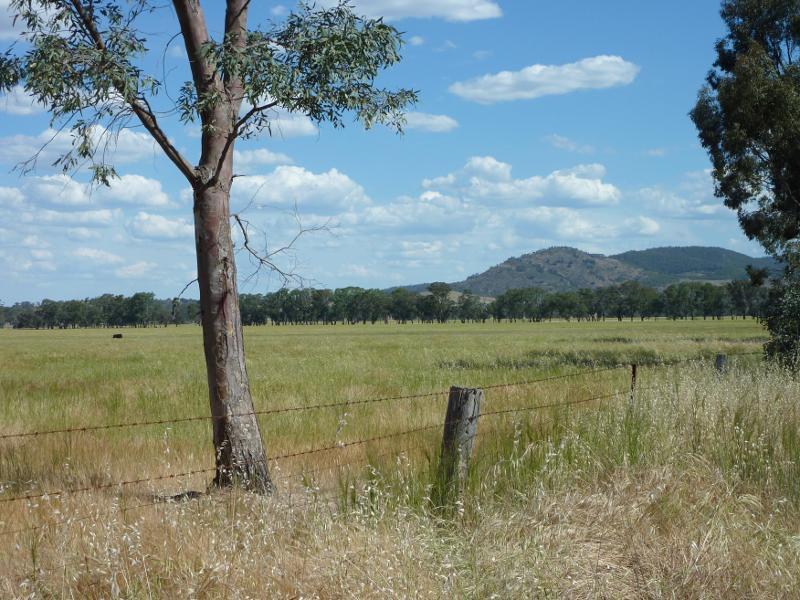 Avoca - Town of Moonambel, Moonambel Road east of town centre: South-easterly view, Moonambel Rd at Glenlofty-Warrenmang Rd