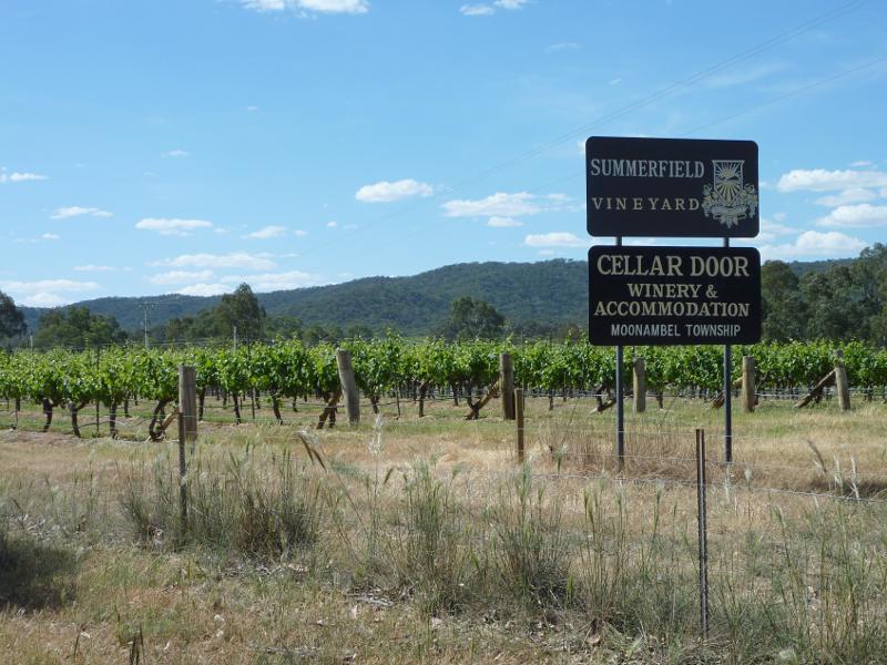 Avoca - Town of Moonambel, vineyards and scenery along Taltarni Road: Summerfield vineyard, Taltarni Rd