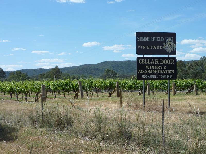Avoca - Town of Moonambel - vineyards and scenery along Taltarni Road - Summerfield vineyard, Taltarni Rd