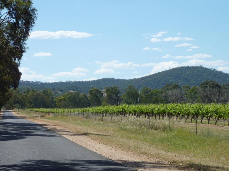 Avoca - Town of Moonambel, vineyards and scenery along Taltarni Road: View north-west along Taltarni Rd, 1 km from of Moonambel Rd