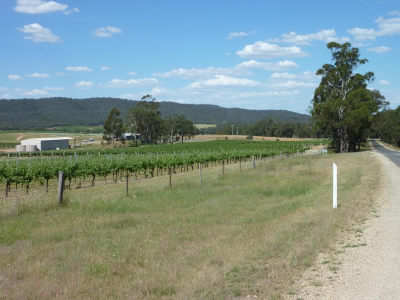 Avoca - Town of Moonambel, vineyards and scenery along Taltarni Road: View south-east along Taltarni Rd, 3.5 km from Moonambel Rd