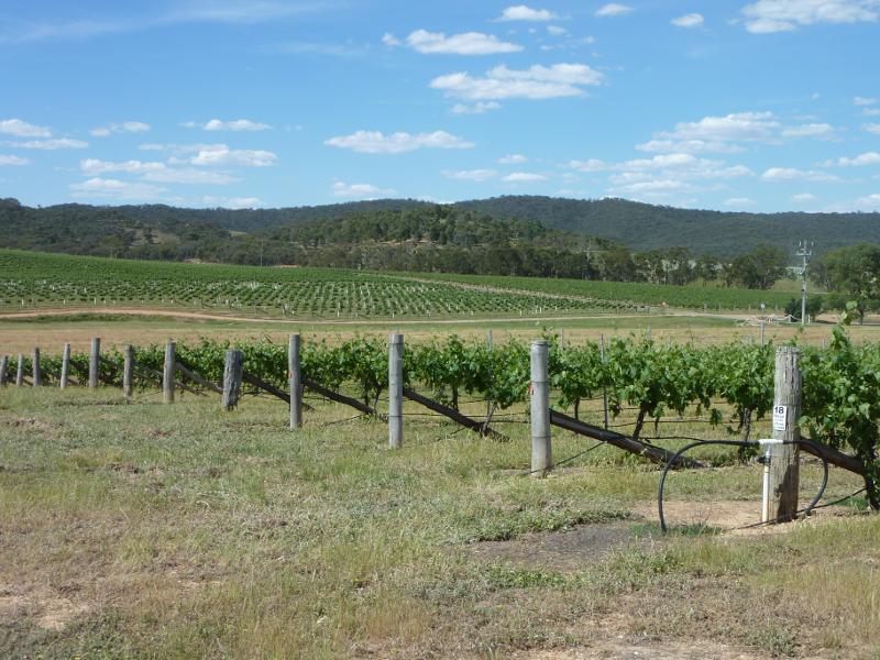 Avoca - Town of Moonambel, vineyards and scenery along Taltarni Road: North-easterly view, Taltarni Rd, 3.5 km from Moonambel Rd