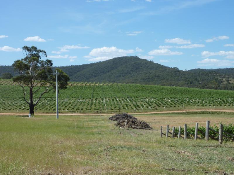 Avoca - Town of Moonambel, vineyards and scenery along Taltarni Road: North-easterly view, Taltarni Rd, 3.5 km from Moonambel Rd