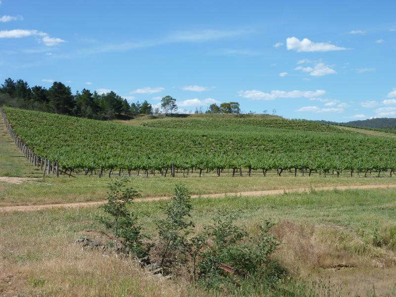Avoca - Town of Moonambel, vineyards and scenery along Taltarni Road: North-easterly view, Taltarni Rd 4 km from Moonambel Rd