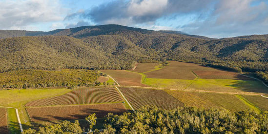 Blue Pyrenees Estate, Avoca