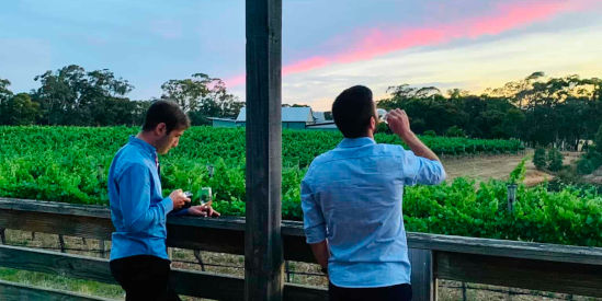 St Ignatius Vineyard, Lamplough