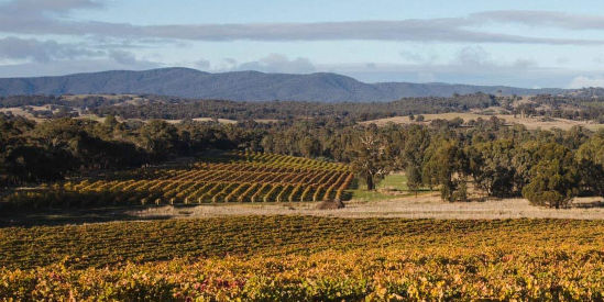 Summerfield Wines, Moonambel