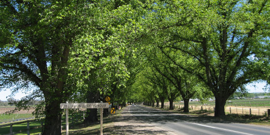Bacchus Marsh