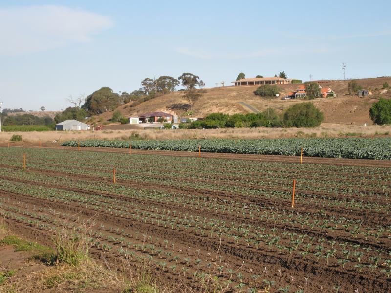 Bacchus Marsh - Taverner Street: View south-east across farm land from near Chicory Kiln
