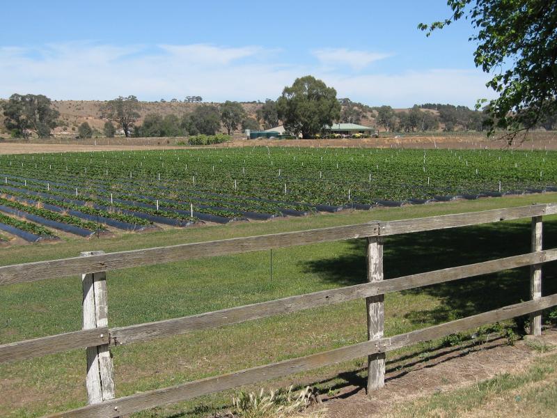 Bacchus Marsh photos Travel Victoria & visitor guide