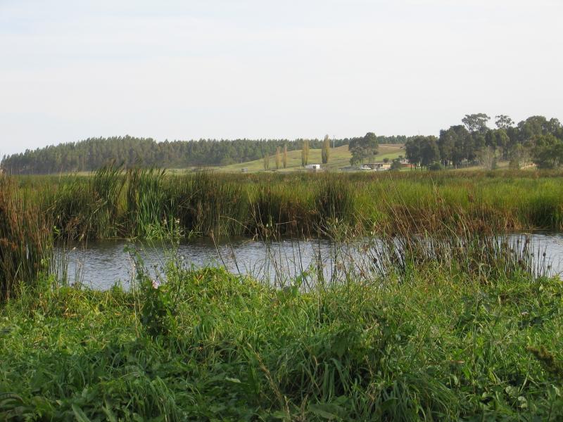 Bairnsdale - McLeods Morass State Game Reserve, Saleyards Road: View across wetlands