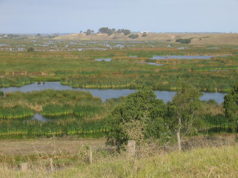 Bairnsdale - McLeods Morass State Game Reserve, Saleyards Road: Southerly views across wetlands from Saleyards Rd near tip