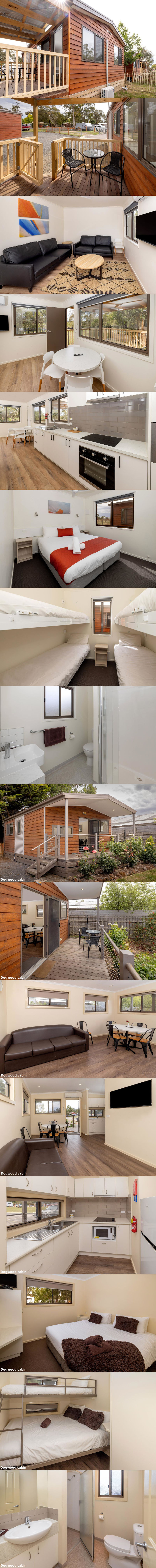 BIG4 Ballarat Windmill Holiday Park - Big Paws pet zone - cabins