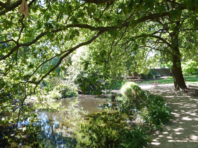 Ballarat - Buninyong, botanical gardens: Pond