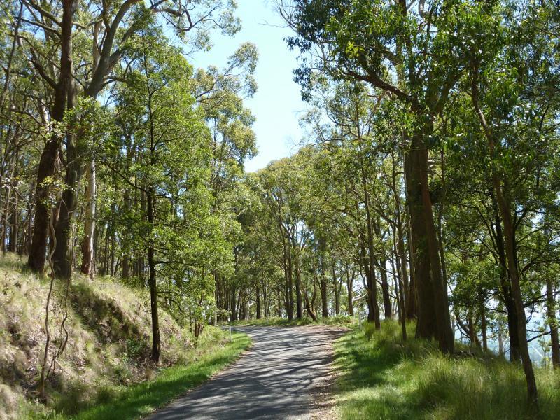 Ballarat - Mount Buninyong Road, ascending mountain: View along road