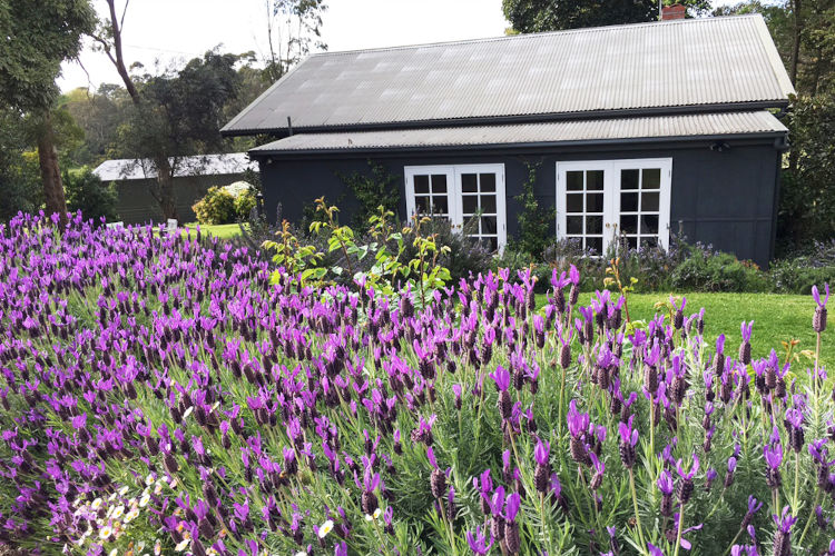 Merricks Cottage, Merricks