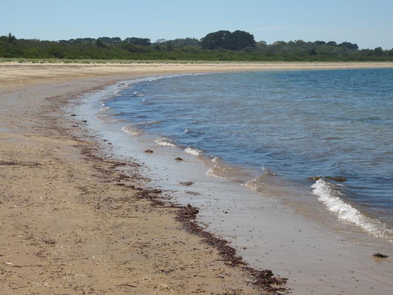 Balnarring - Beach at end of Balnarring Beach Road: View east along beach near yacht club