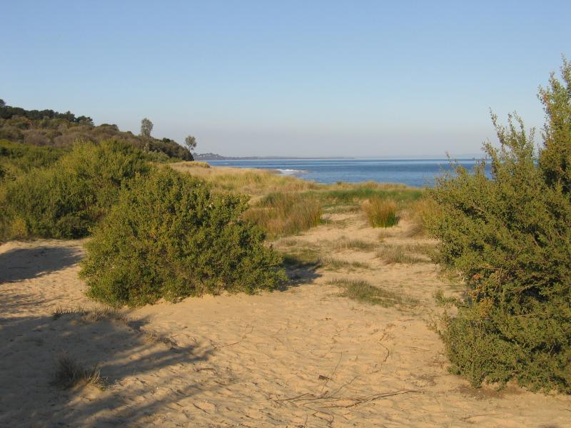 Balnarring - Merricks Beach at end of Merricks Beach Road: Foreshore