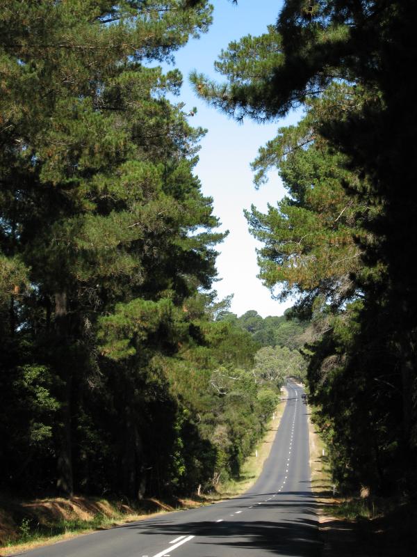 Balnarring - Around Balnarring: View south-east along Balnarring Rd between Bittern Rd and Warrawee Rd