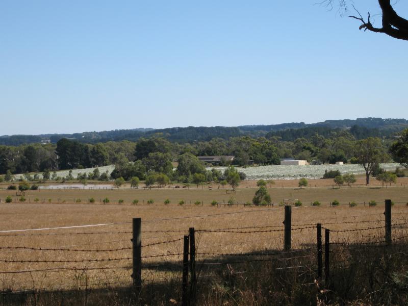 Balnarring - Wineries around Balnarring: View south-west to surrounding wineries from Myers Rd east of Marinda Park Vineyard