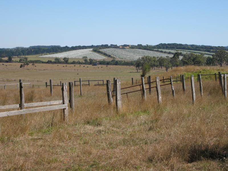 Balnarring - Wineries around Balnarring: View west towards surrounding vineyards, Balnarring Rd between Bittern Rd and Warrawee Rd