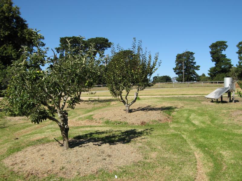 Balnarring - Coolart Wetlands and Homestead, Lord Somers Road - Orchard