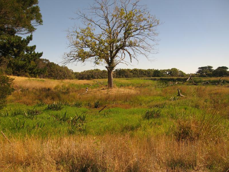 Balnarring - Coolart Wetlands and Homestead, Lord Somers Road: View from inside Observatory