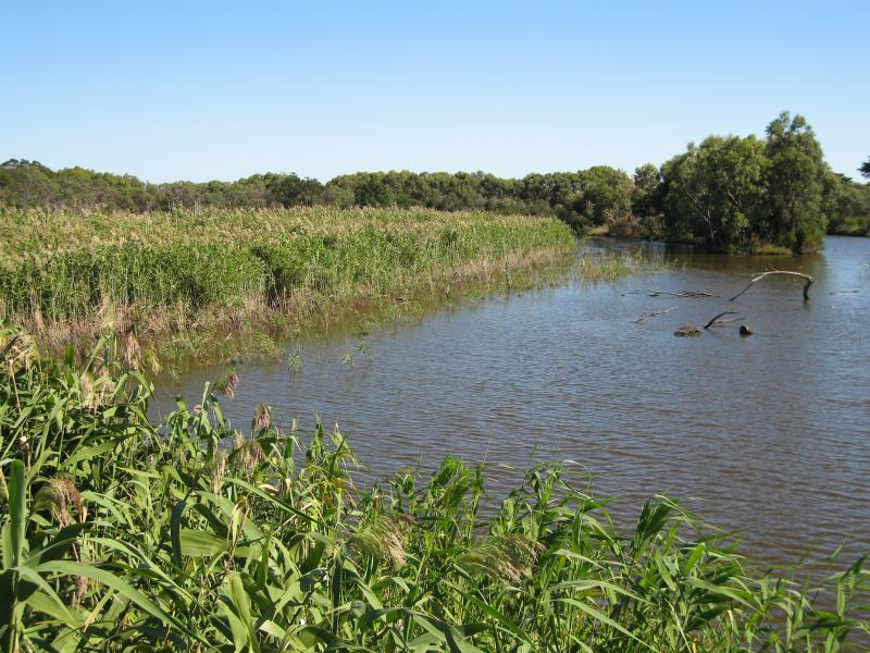 Balnarring - Coolart Wetlands and Homestead, Lord Somers Road: Wetlands at rear of homestead