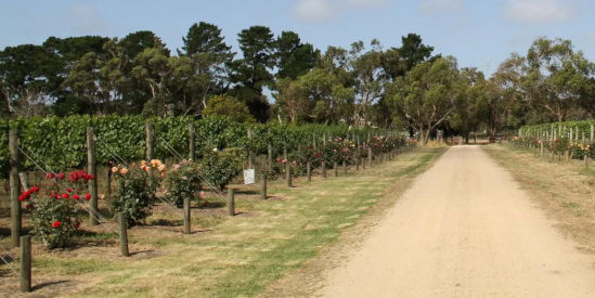 Northway Downs Estate, Balnarring
