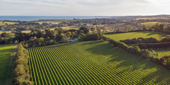 Stonier Wines, Merricks