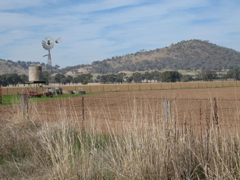 Barnawartha - Howlong Road north of town centre: View south-east towards Mt Lady Franklin from Tom Tanners Rd near Howlong Rd