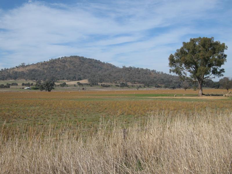 Barnawartha - Howlong Road north of town centre: View south-east towards Mt Lady Franklin from Howlong Rd at Bill Tanners Rd