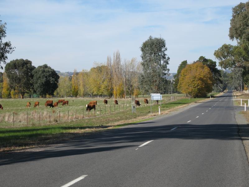 Barnawartha - Indigo Creek Road: View south-east along Indigo Creek Rd towards Chiltern-Yackandandah Rd