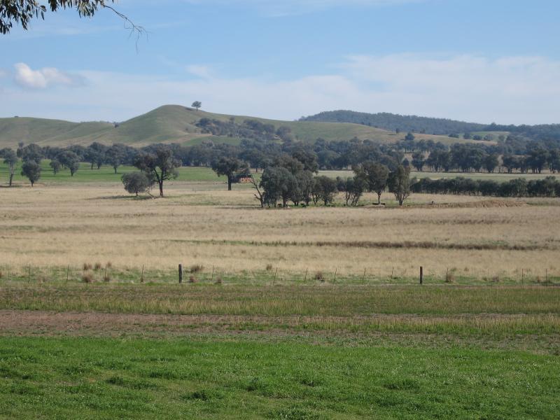 Barnawartha - Indigo Creek Road: View west from Ironbark La near Indigo Creek Rd