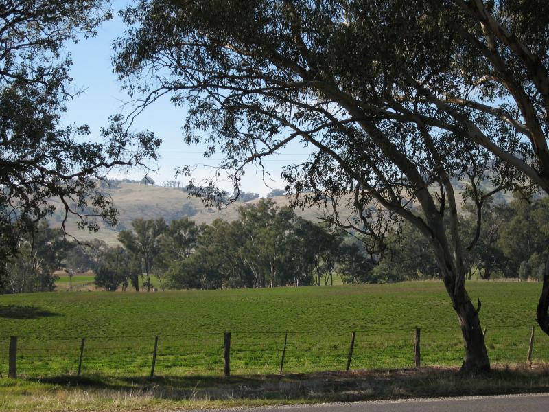 Barnawartha - Indigo Creek Road: View north-east across Indigo Creek Rd at Ironbark La