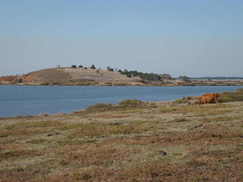Barwon Heads - Lake Connewarre at Tait Point, Staceys Road: View east across lake