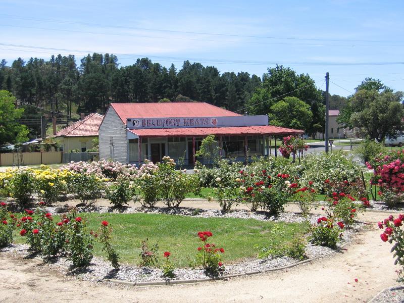 Beaufort - Memorial Park, northern end of Livingstone Street: View north across rose garden towards Willoby St
