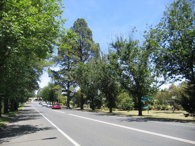 Beaufort - Western Highway, east side of Beaufort: View west along Neill St (Avenue of Honour), west of Racecourse Rd