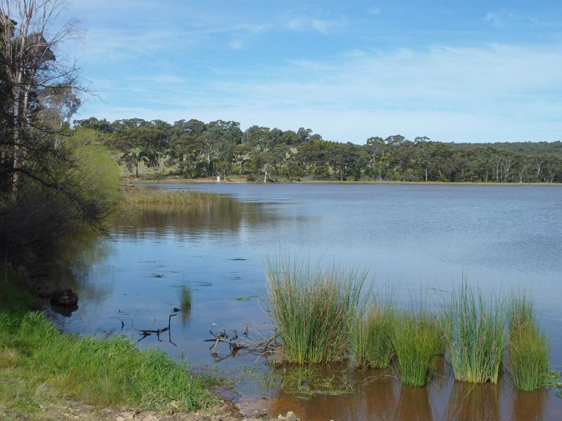 Beaufort - Beaufort Lake: View across lake from western side near boat ramp