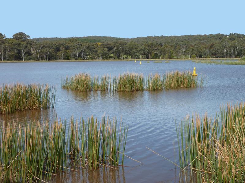 Beaufort - Beaufort Lake: South-easterly view across lake from caravan park