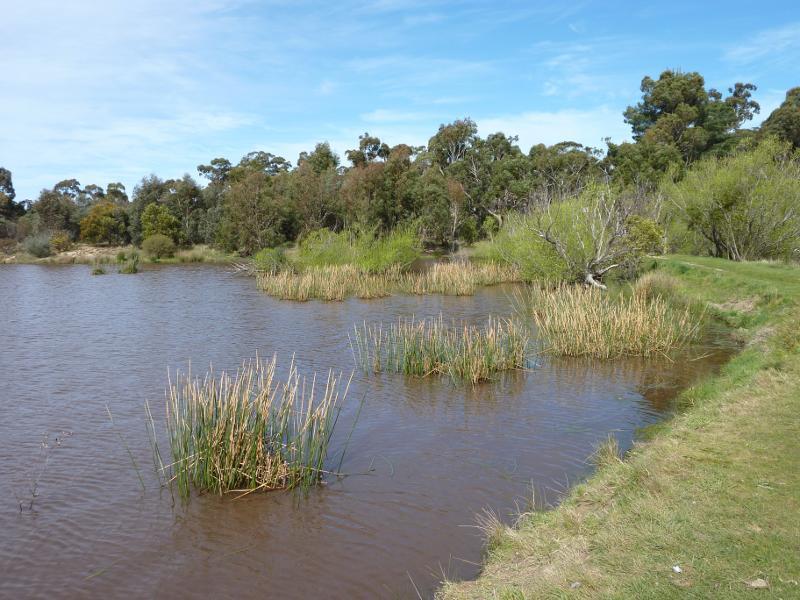 Beaufort - Beaufort Lake: South-western edge of lake at caravan park